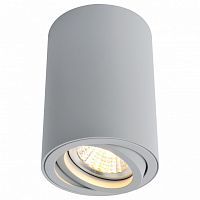Накладной светильник Arte Lamp Sentry A1560PL-1GY в Заречном